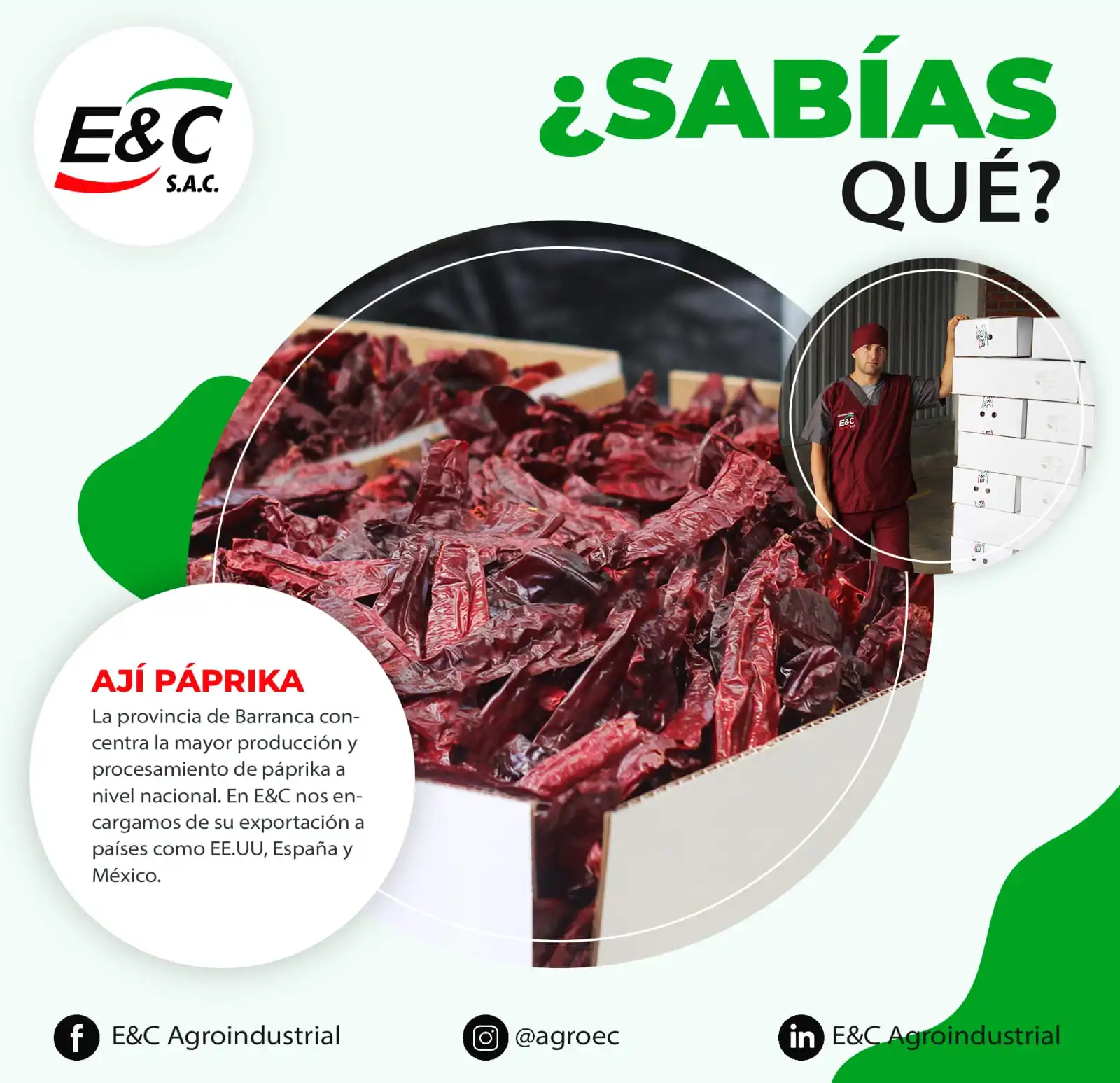 ¿Sabías qué?🤔