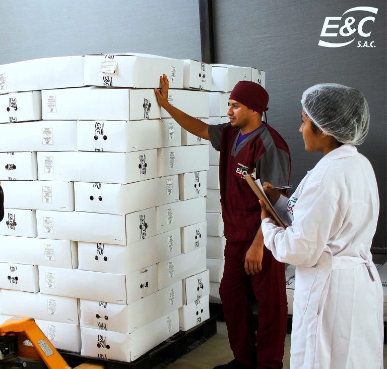 347268369_157953180615584_4139732246624482747_n