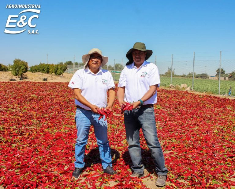 357494964_171356412608594_744607838810885179_n